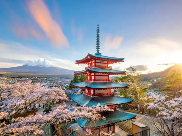 GK310309 - G. KORE &  JAPONYA TURU / SAKURA MEVSİMİ